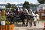 Aron Powozy - Mistrzostwa Europy Aachen 2015